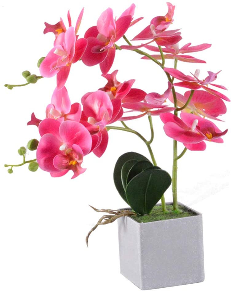 Vivilinen Plastique Fleurs artificielles Phalaenopsis fleur Fleur Orchidée  réaliste Décor chaleureux pour la chambre à la maison et bureau (violet)
