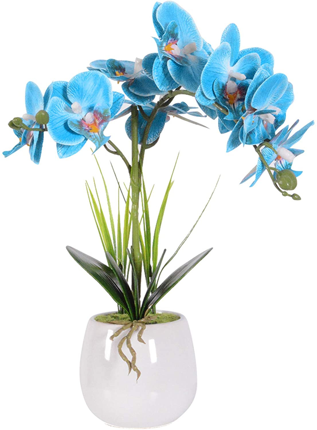 Vivilinen Orchidées artificielles en pot Fleurs artificielles Fleurs  artificielles Plastique Phalaenopsis Orchidée papillon réaliste avec pot en  céramique
